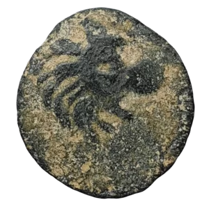 Império Selêucida, Antíoco VII Euergetes, bronze, 3 g, 15 mm, 139 a 130 aC, cabeça de leão / clava, cunhada em Antioquia (Síria), N# 427277